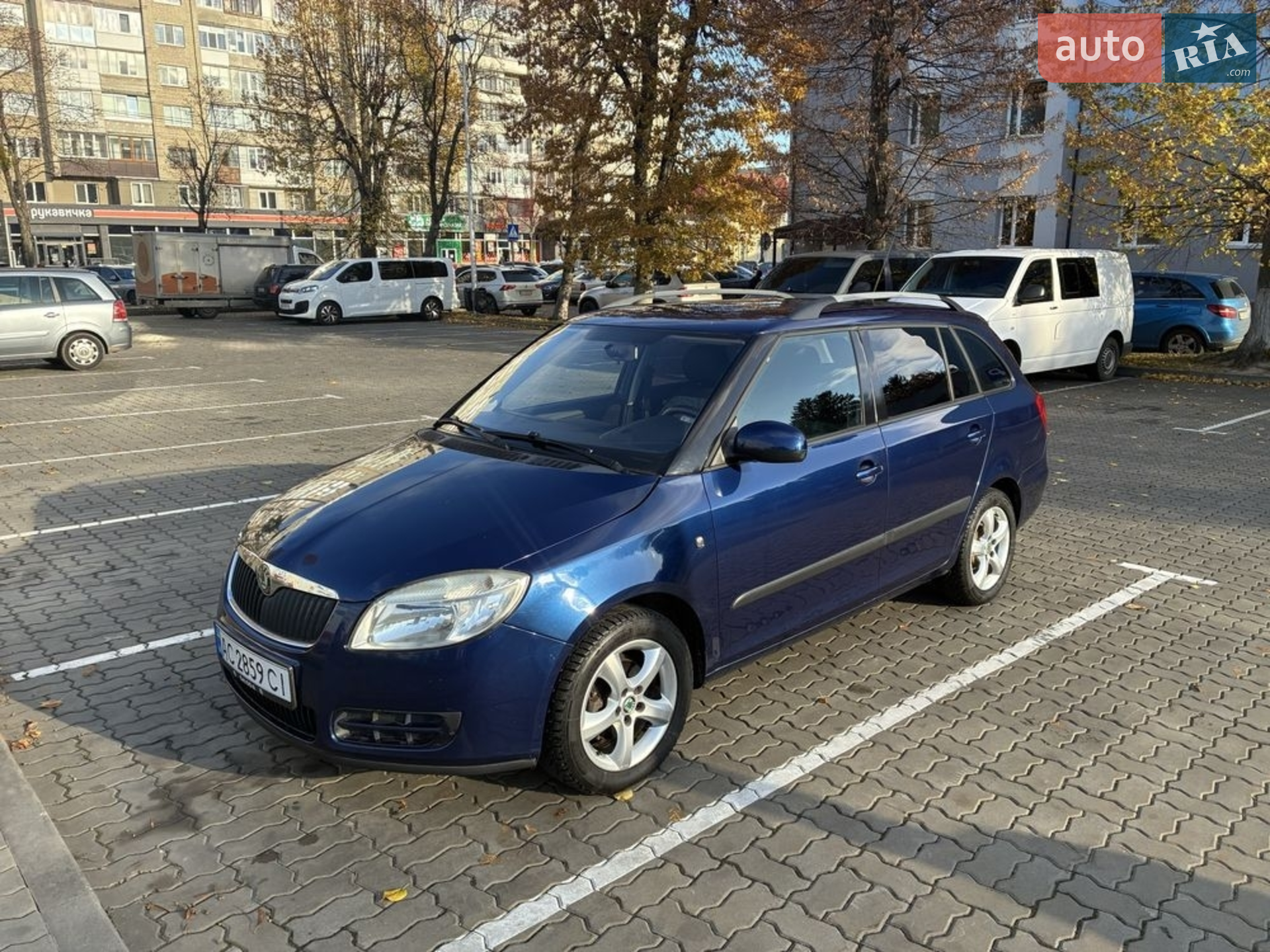 2010 Skoda Fabia - фото 1