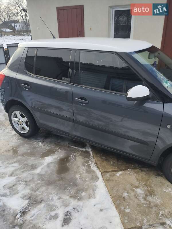 Хэтчбек Skoda Fabia 2007 в Милиево фото 7 Хэтчбек Skoda Fabia 2007 в Милиево