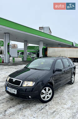 Універсал Skoda Fabia 2006 в Житомирі