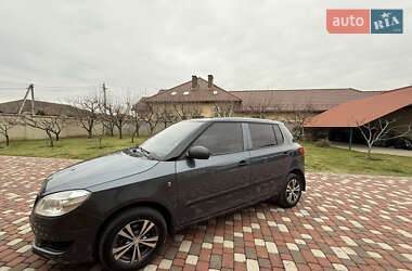 Хэтчбек Skoda Fabia 2010 в Виноградове