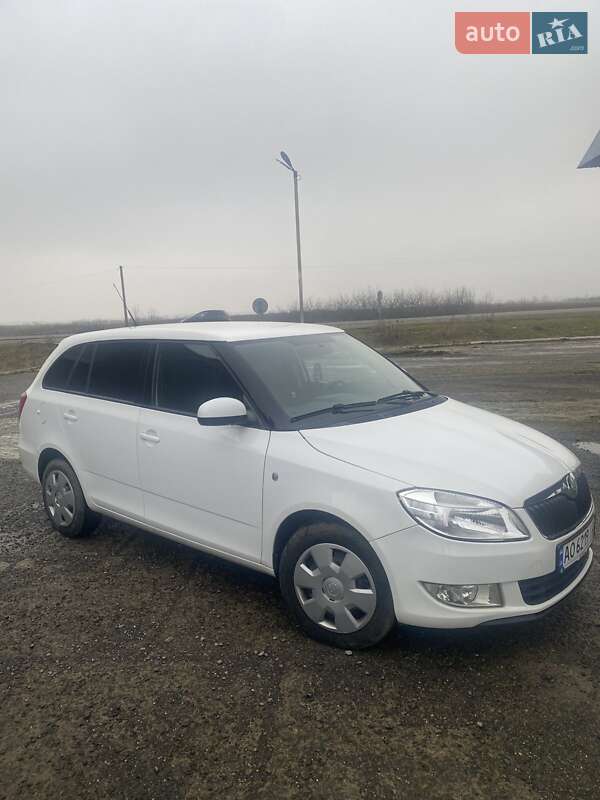 Хэтчбек Skoda Fabia 2010 в Ужгороде