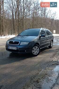 Універсал Skoda Fabia 2007 в Кременці