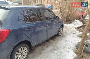 Хэтчбек Skoda Fabia 2010 в Киеве