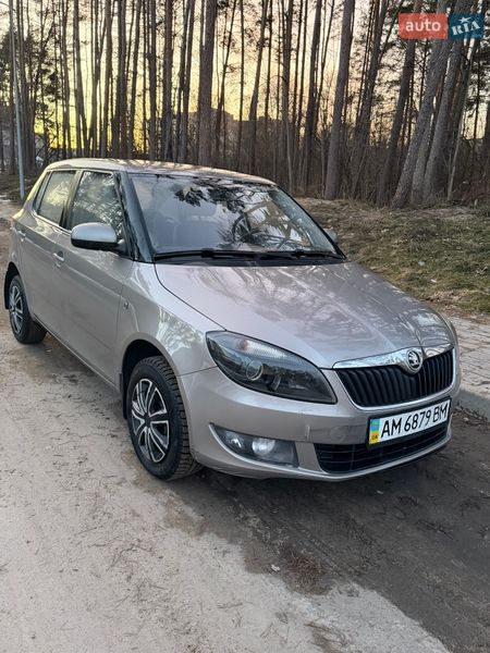 Хэтчбек Skoda Fabia 2013 в Житомире