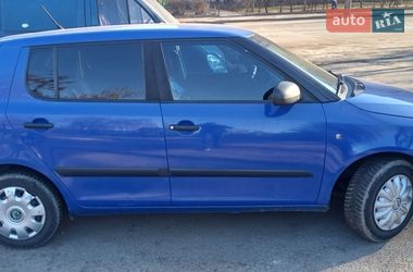 Хэтчбек Skoda Fabia 2009 в Киеве