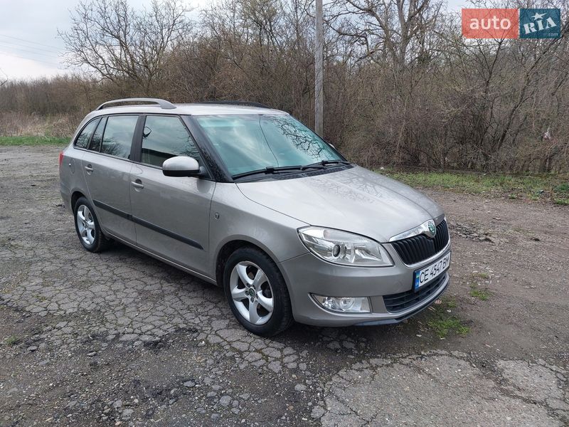 Універсал Skoda Fabia 2010 в Кіцмані