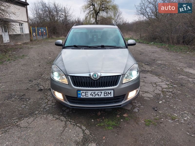 Універсал Skoda Fabia 2010 в Кіцмані