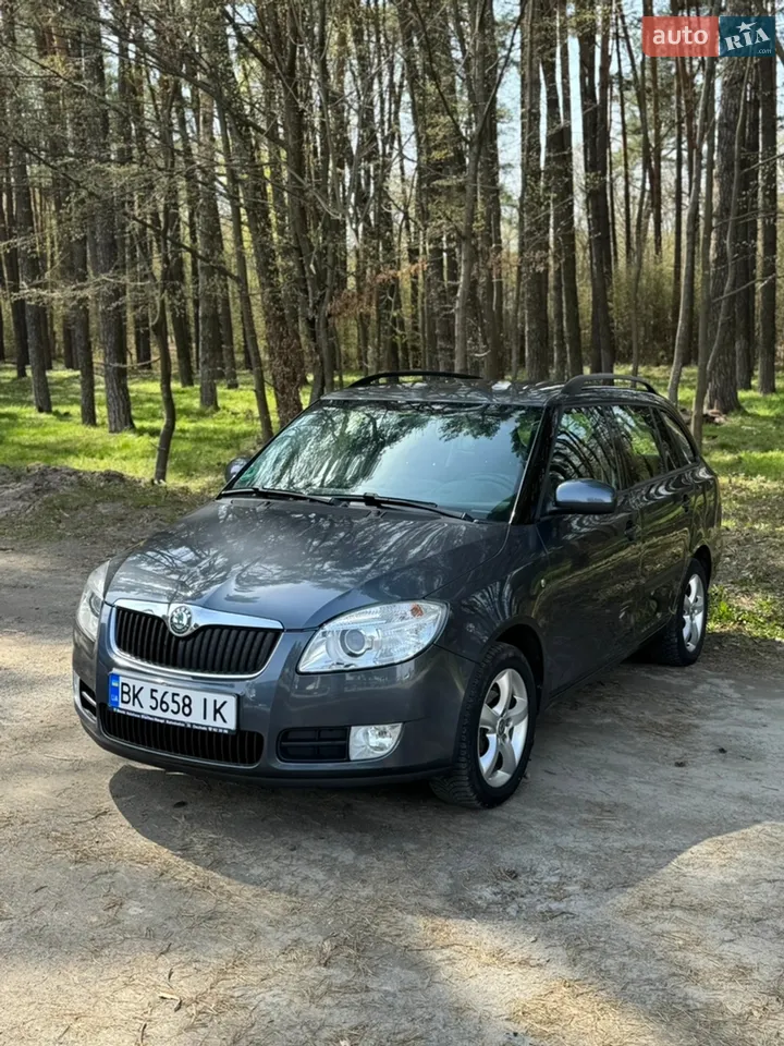 2010 Skoda Fabia - мініатюра 49