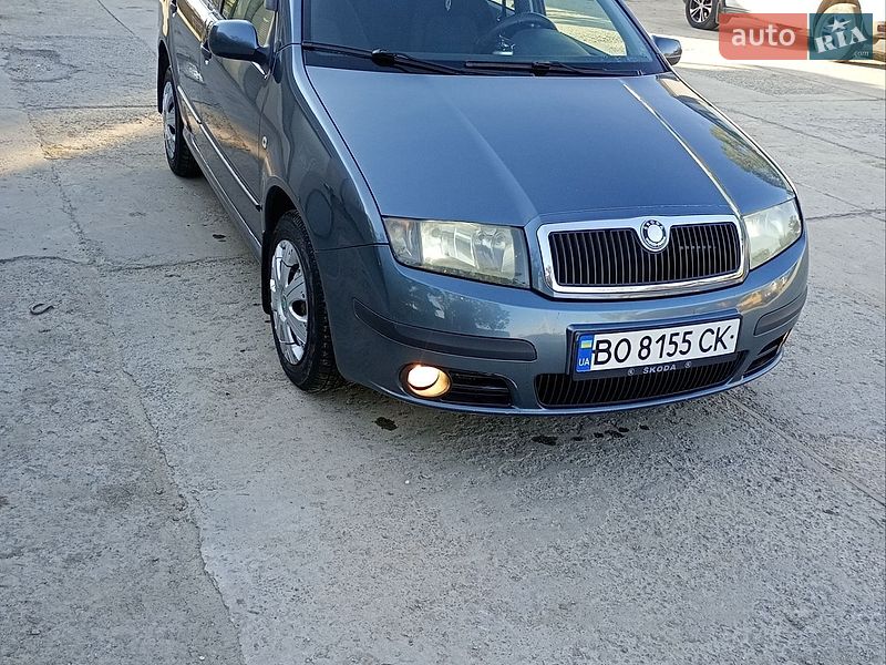 Универсал Skoda Fabia 2006 в Теофиполе