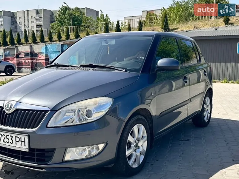 Skoda Fabia 2010 VIN TMBES25J9B3072698 фото оголошення 5 з 70