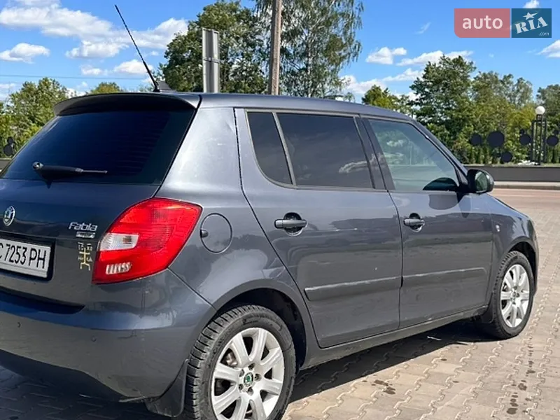 Skoda Fabia 2010 VIN TMBES25J9B3072698 фото оголошення 20 з 70