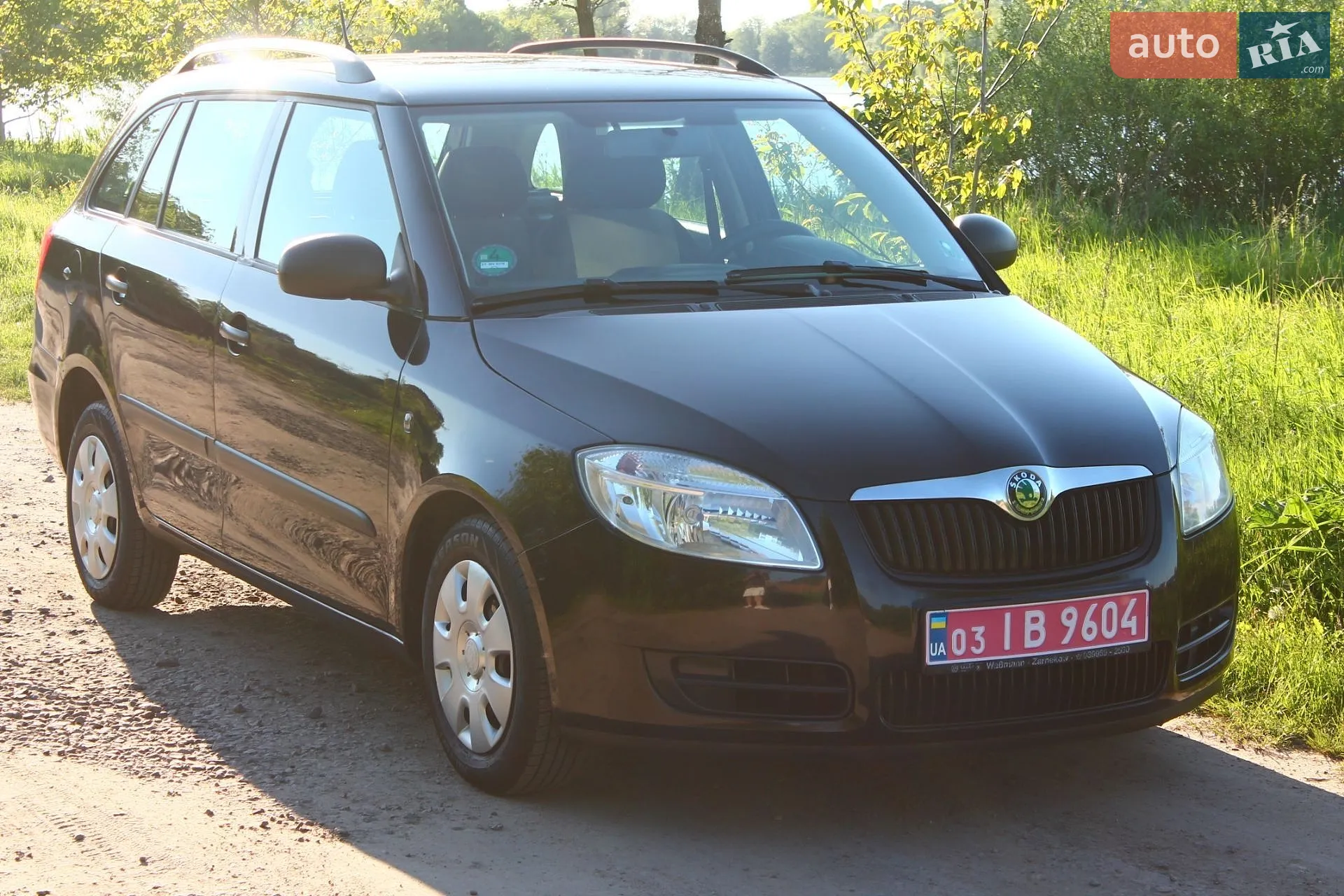 2010 Skoda Fabia - фото 1