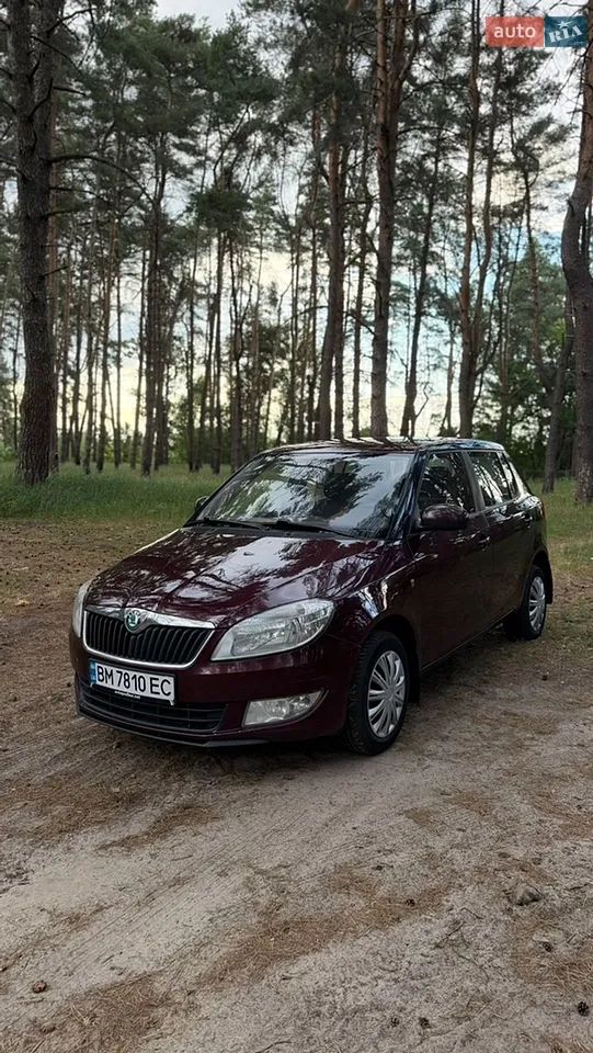 2011 Skoda Fabia - мініатюра 22