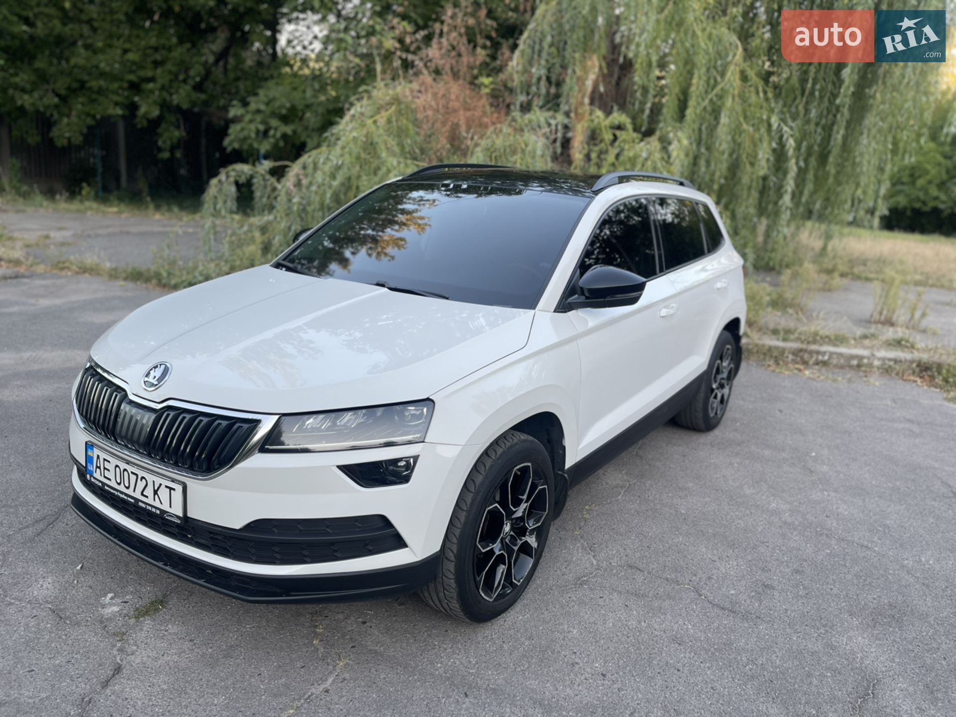 2019 Skoda Karoq - фото 1