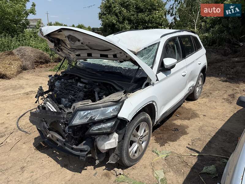 Позашляховик / Кросовер Skoda Kodiaq 2019 в Києві