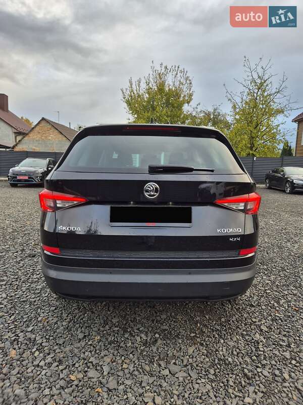 Внедорожник / Кроссовер Skoda Kodiaq 2019 в Луцке фото 6 Внедорожник / Кроссовер Skoda Kodiaq 2019 в Луцке