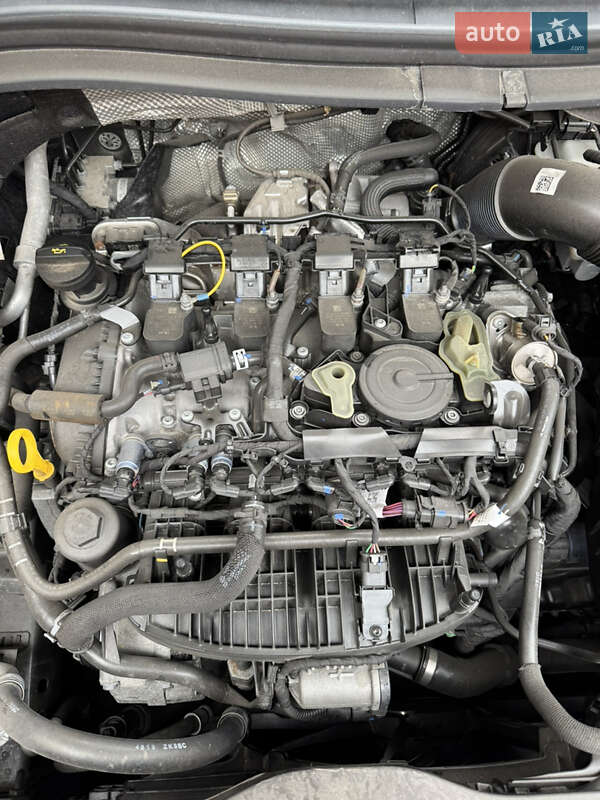 Позашляховик / Кросовер Skoda Kodiaq 2020 в Калинівці