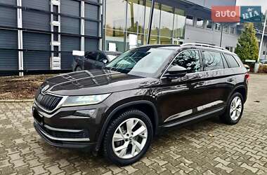 Внедорожник / Кроссовер Skoda Kodiaq 2019 в Киеве