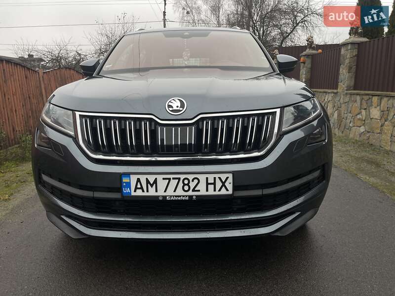 Внедорожник / Кроссовер Skoda Kodiaq 2020 в Звягеле