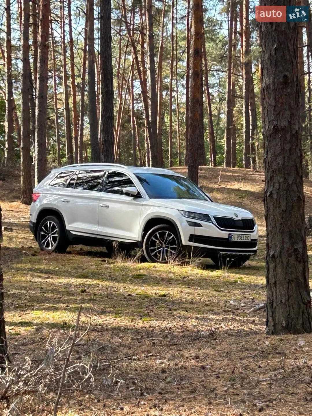 2018 Skoda Kodiaq - мініатюра 5