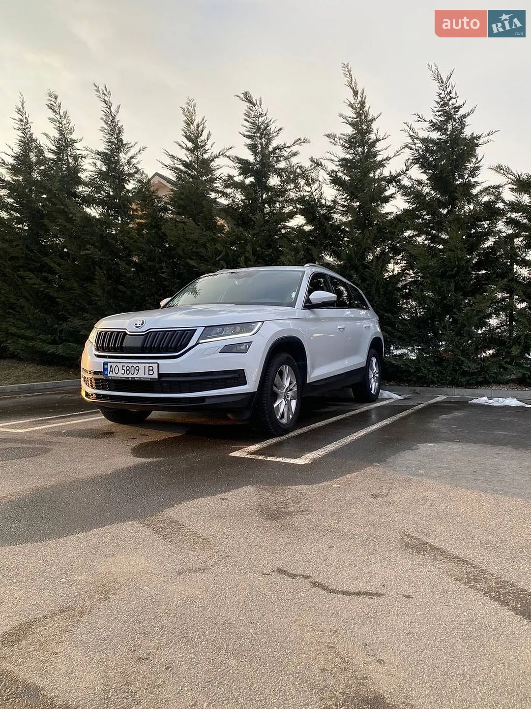 2019 Skoda Kodiaq - мініатюра 2