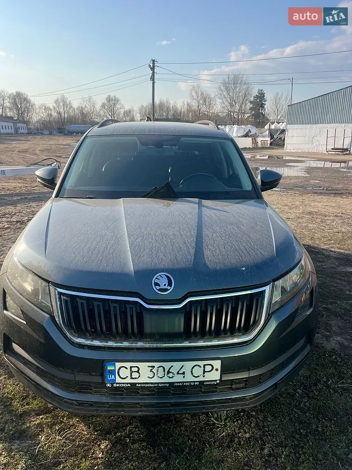 2019 Skoda Kodiaq - мініатюра 36