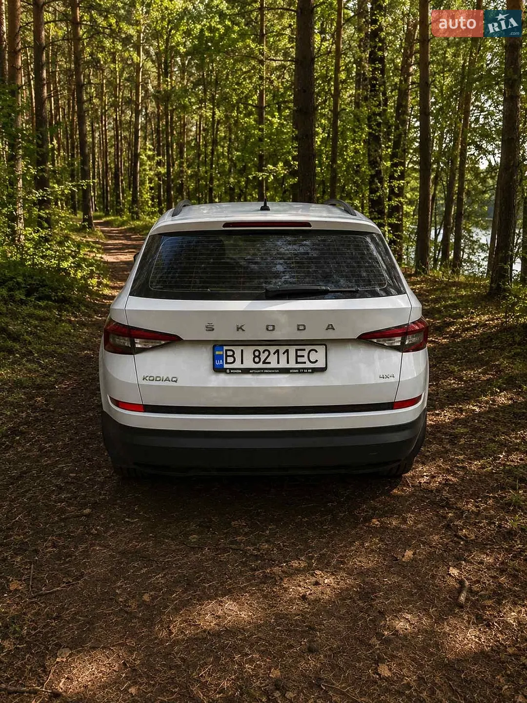 2019 Skoda Kodiaq - мініатюра 4