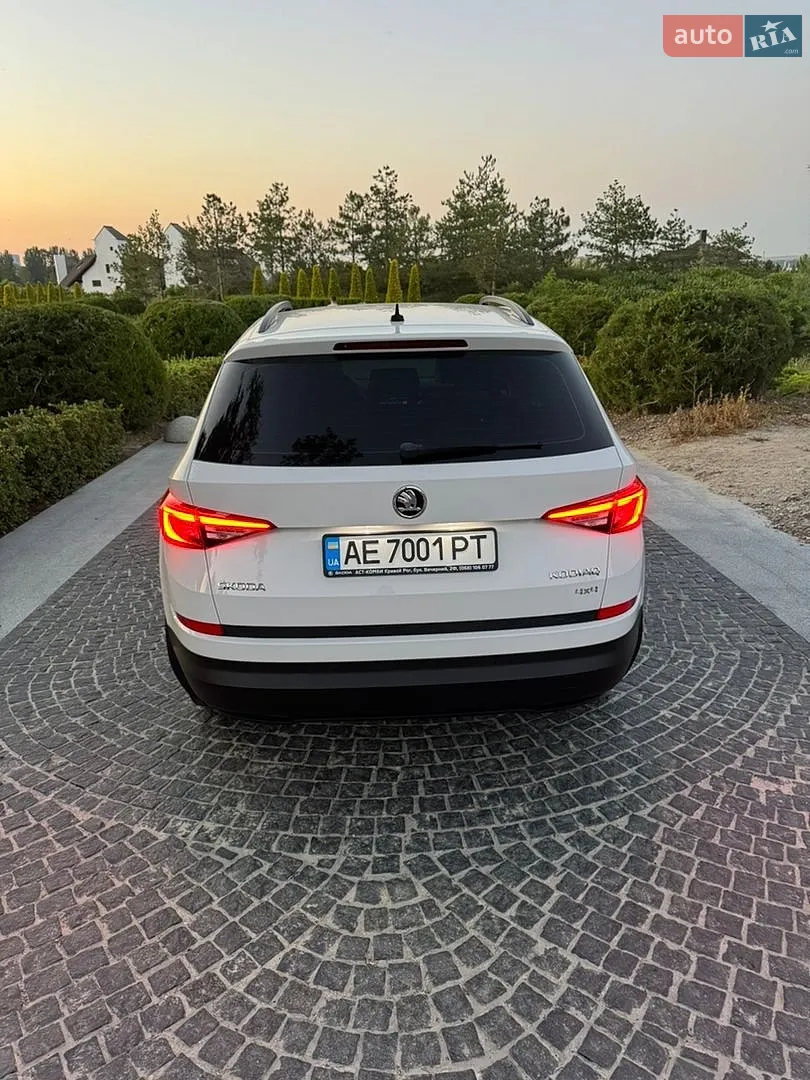 2019 Skoda Kodiaq - мініатюра 13