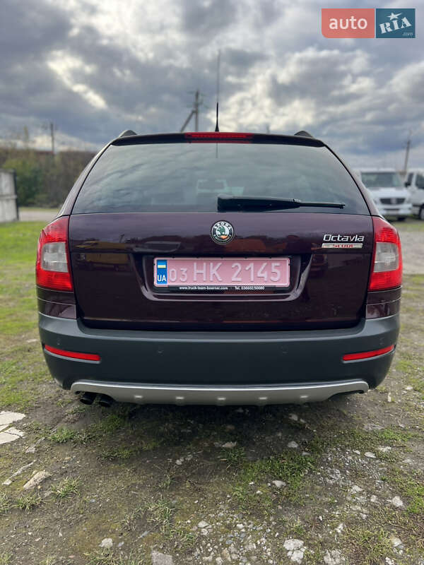 Універсал Skoda Octavia Scout 2009 в Рожище