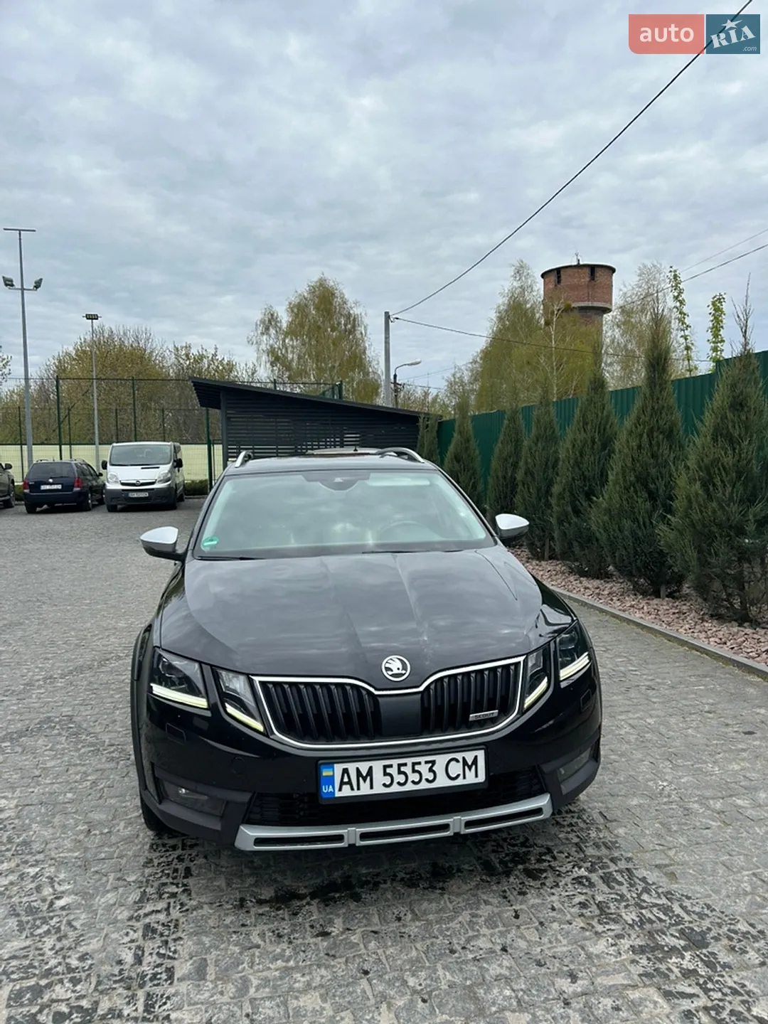 2019 Skoda Octavia - фото 1