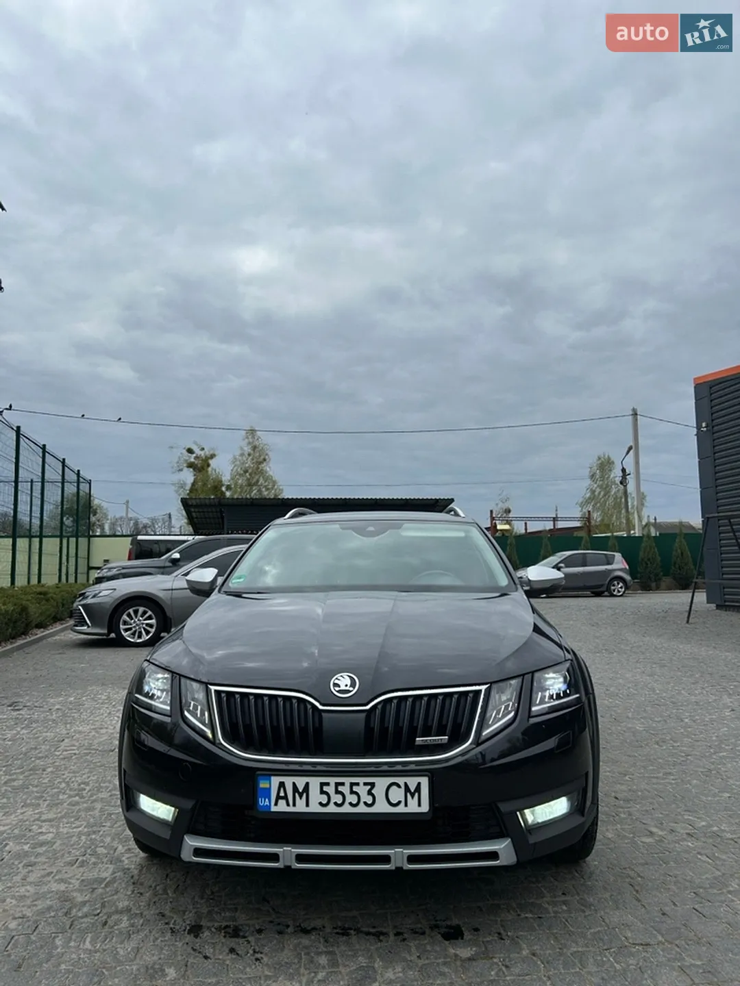 2019 Skoda Octavia - мініатюра 3