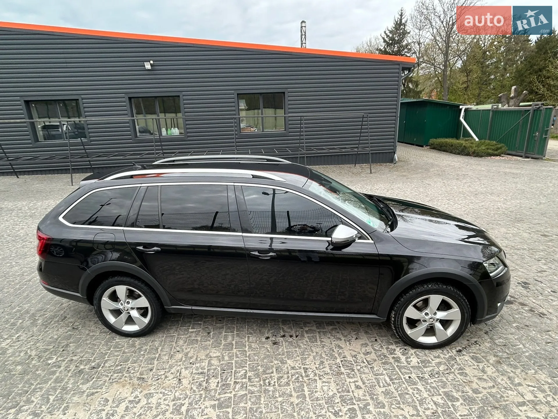 2019 Skoda Octavia - мініатюра 5