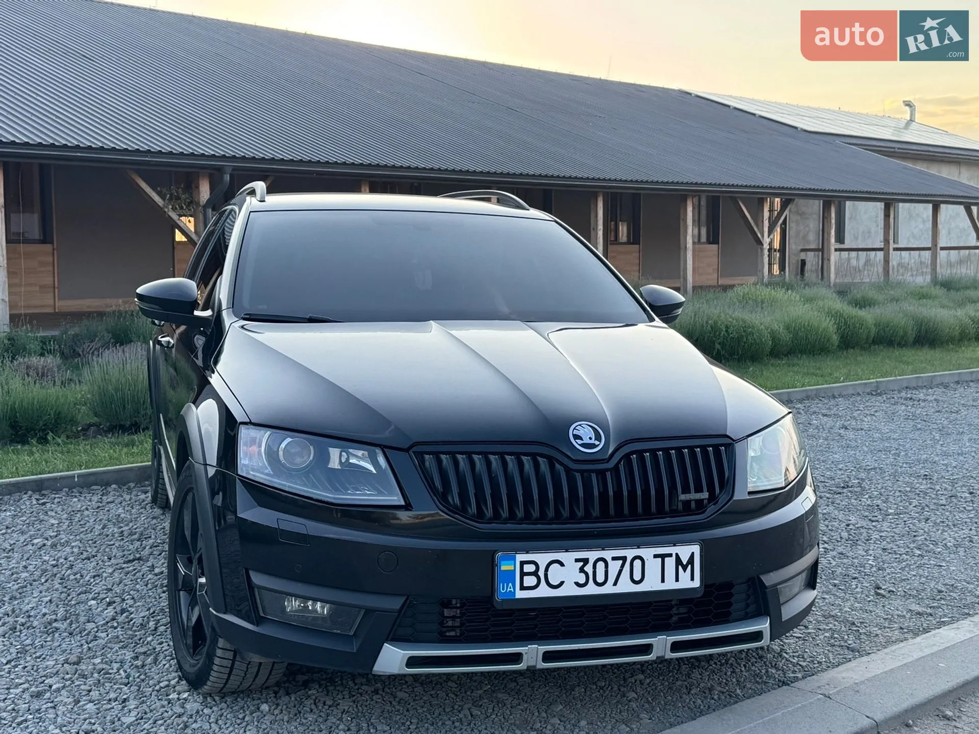 2014 Skoda Octavia - мініатюра 12