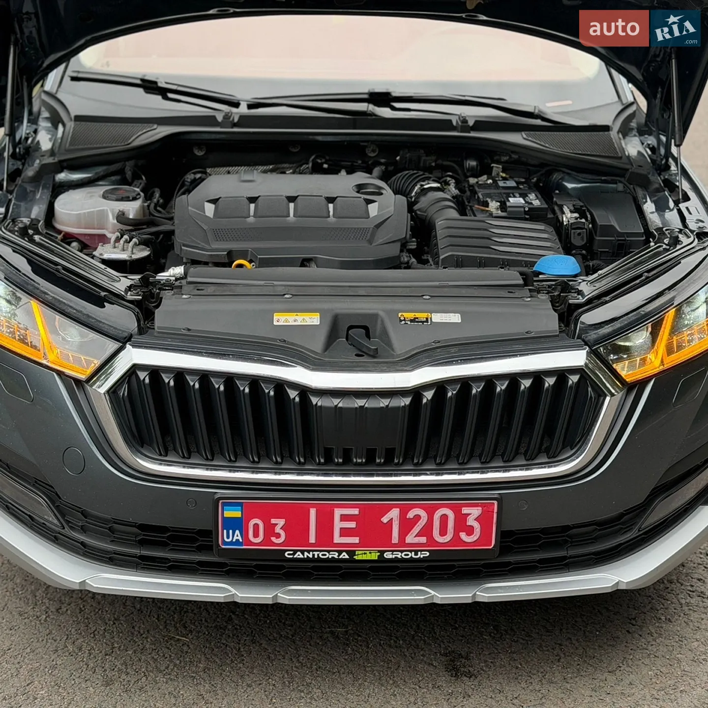 2021 Skoda Octavia - мініатюра 131