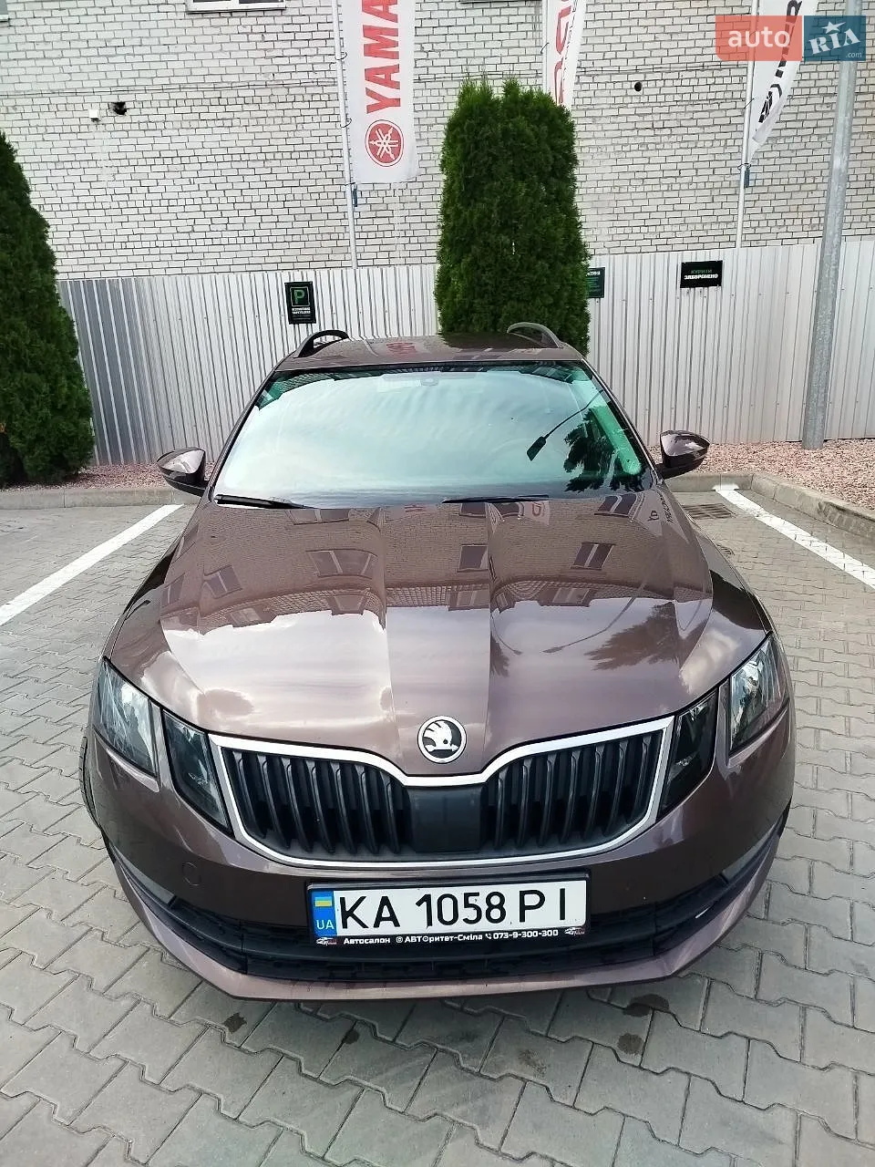 2017 Skoda Octavia - мініатюра 6