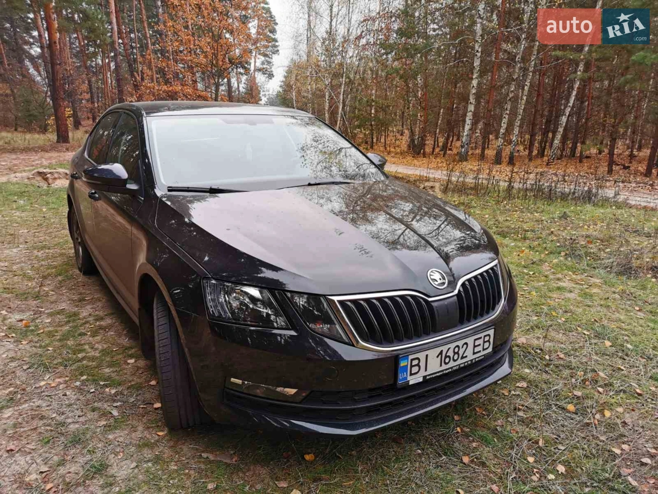 2017 Skoda Octavia - мініатюра 10