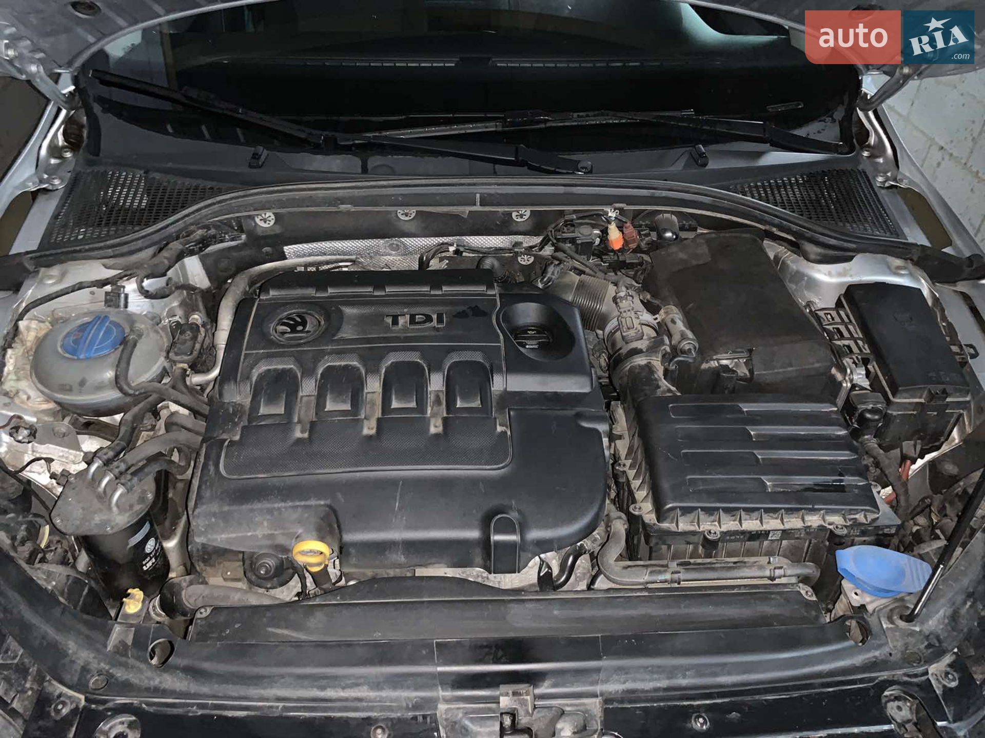 2014 Skoda Octavia - мініатюра 5