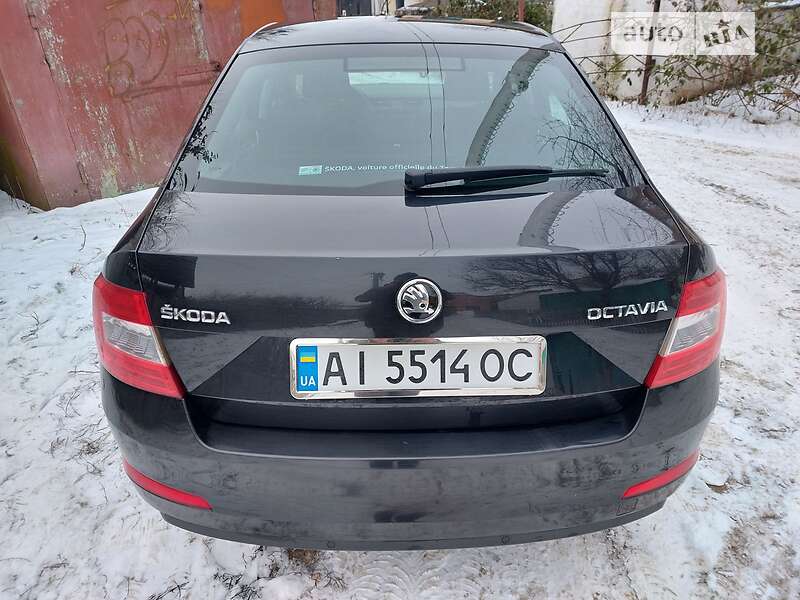 Лифтбек Skoda Octavia 2016 в Василькове фото 6 Лифтбек Skoda Octavia 2016 в Василькове