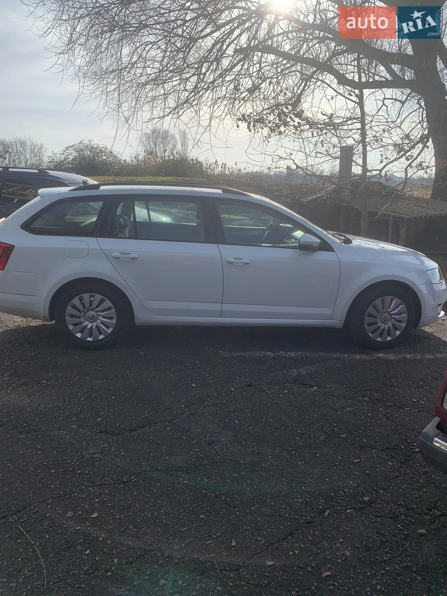 2016 Skoda Octavia - мініатюра 10