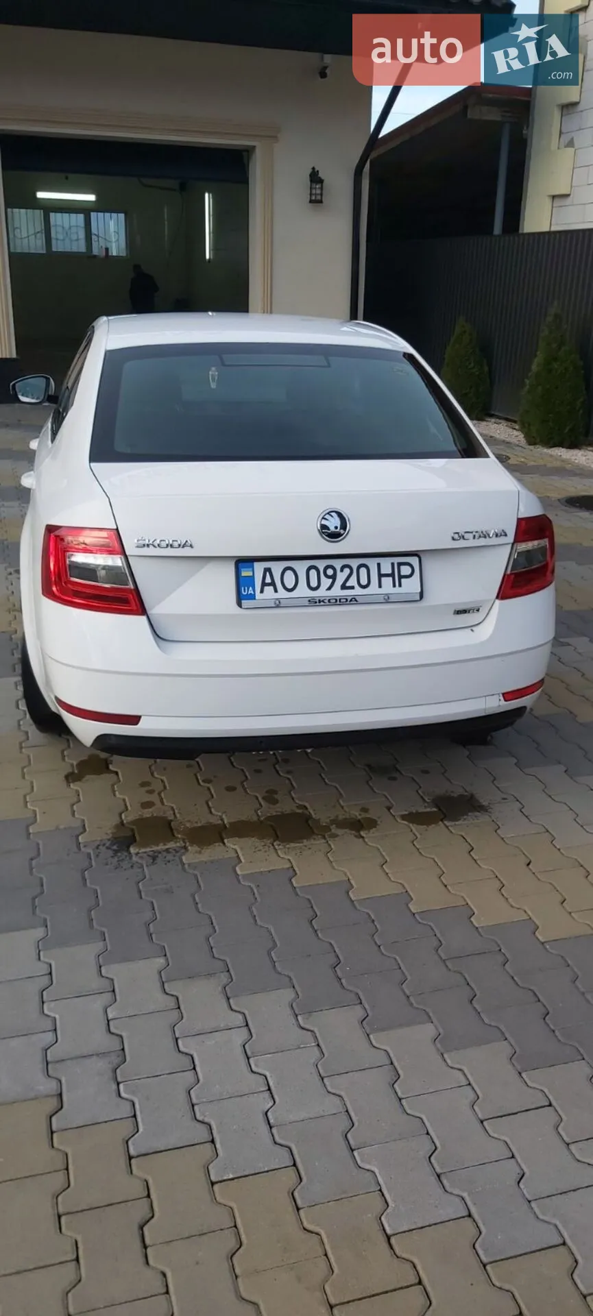 2017 Skoda Octavia - мініатюра 2