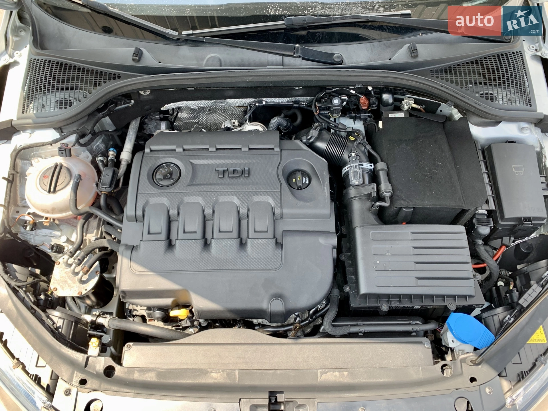 2016 Skoda Octavia - мініатюра 11