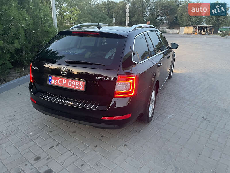 Универсал Skoda Octavia 2015 в Березанке