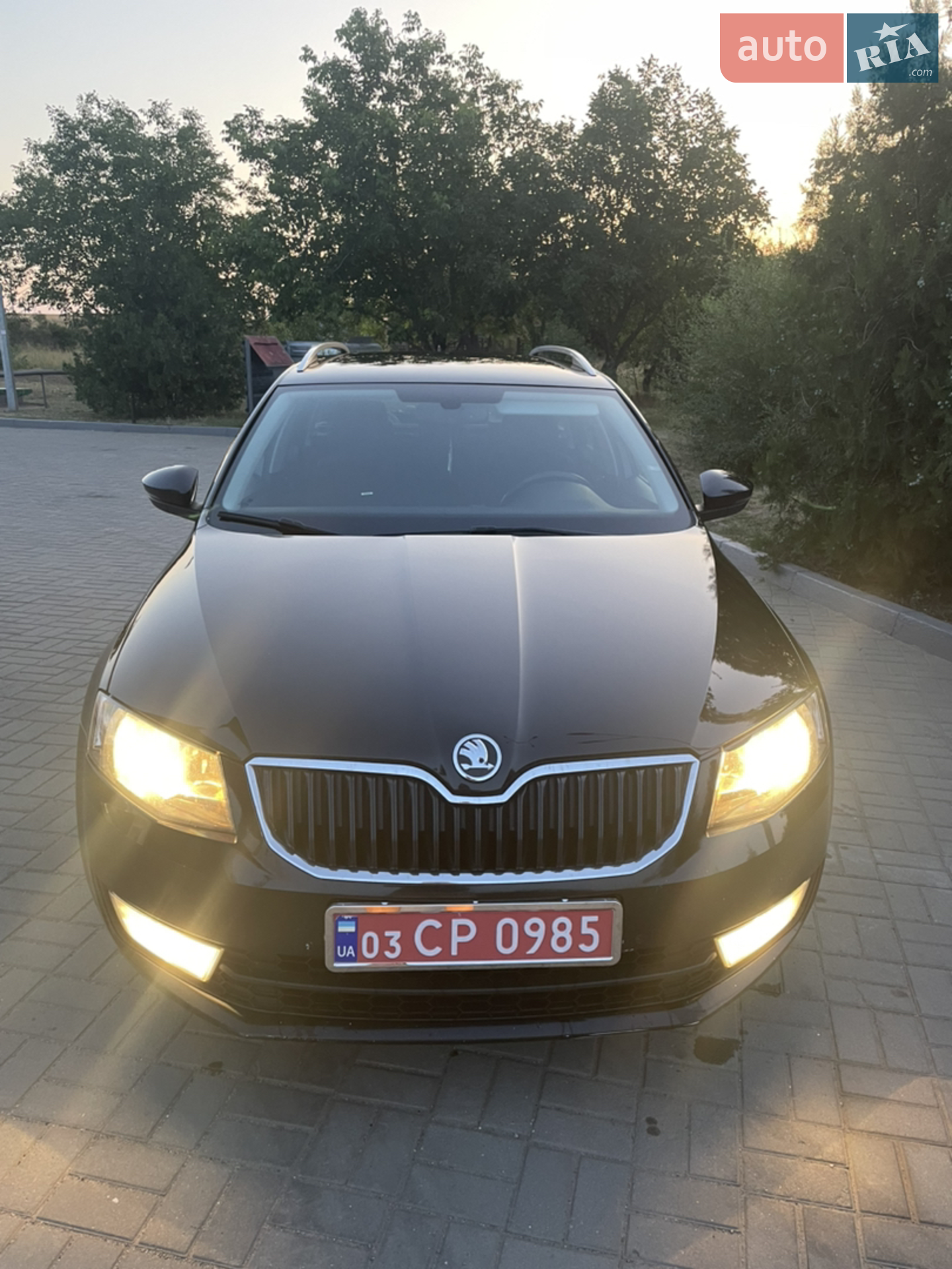 2015 Skoda Octavia - мініатюра 13