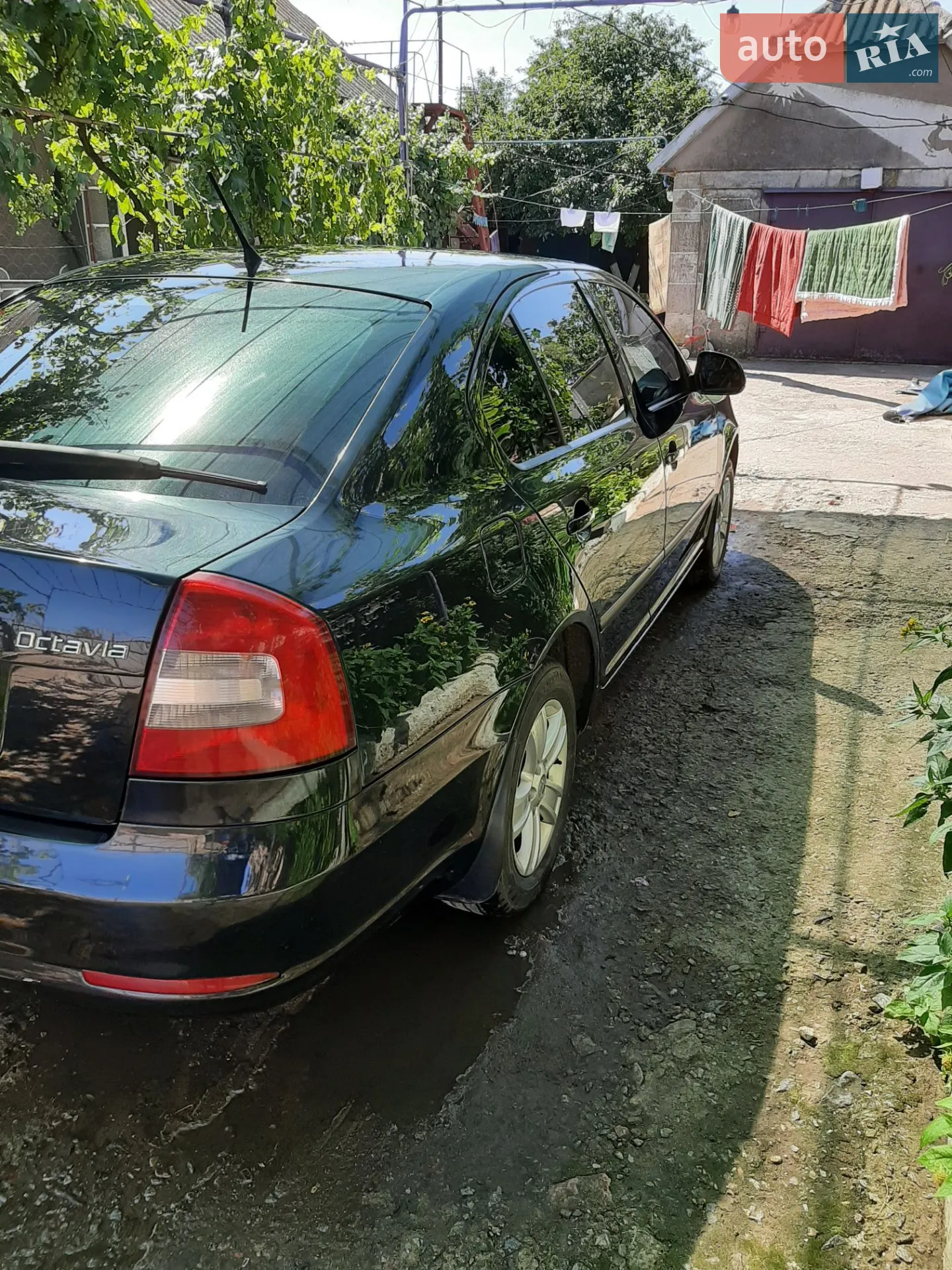 2013 Skoda Octavia - мініатюра 6