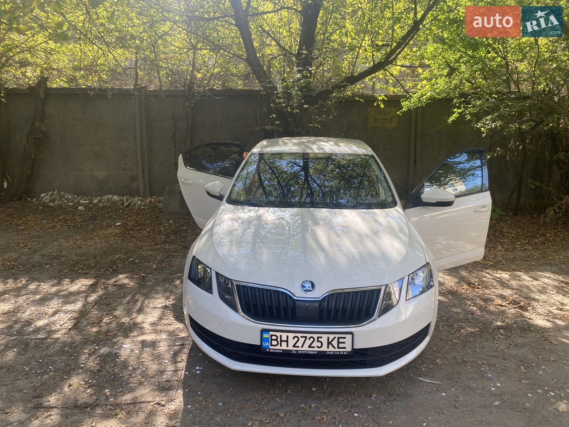 2019 Skoda Octavia - фото 1