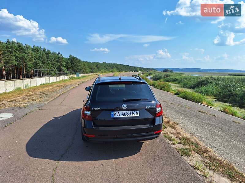 Универсал Skoda Octavia 2017 в Киеве фото 18 Универсал Skoda Octavia 2017 в Киеве