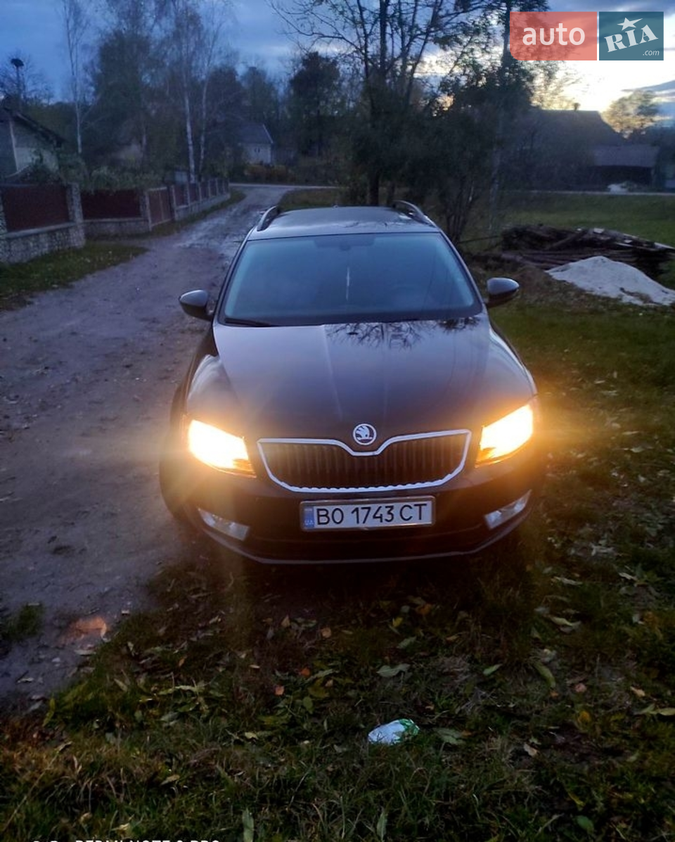 2014 Skoda Octavia - мініатюра 15