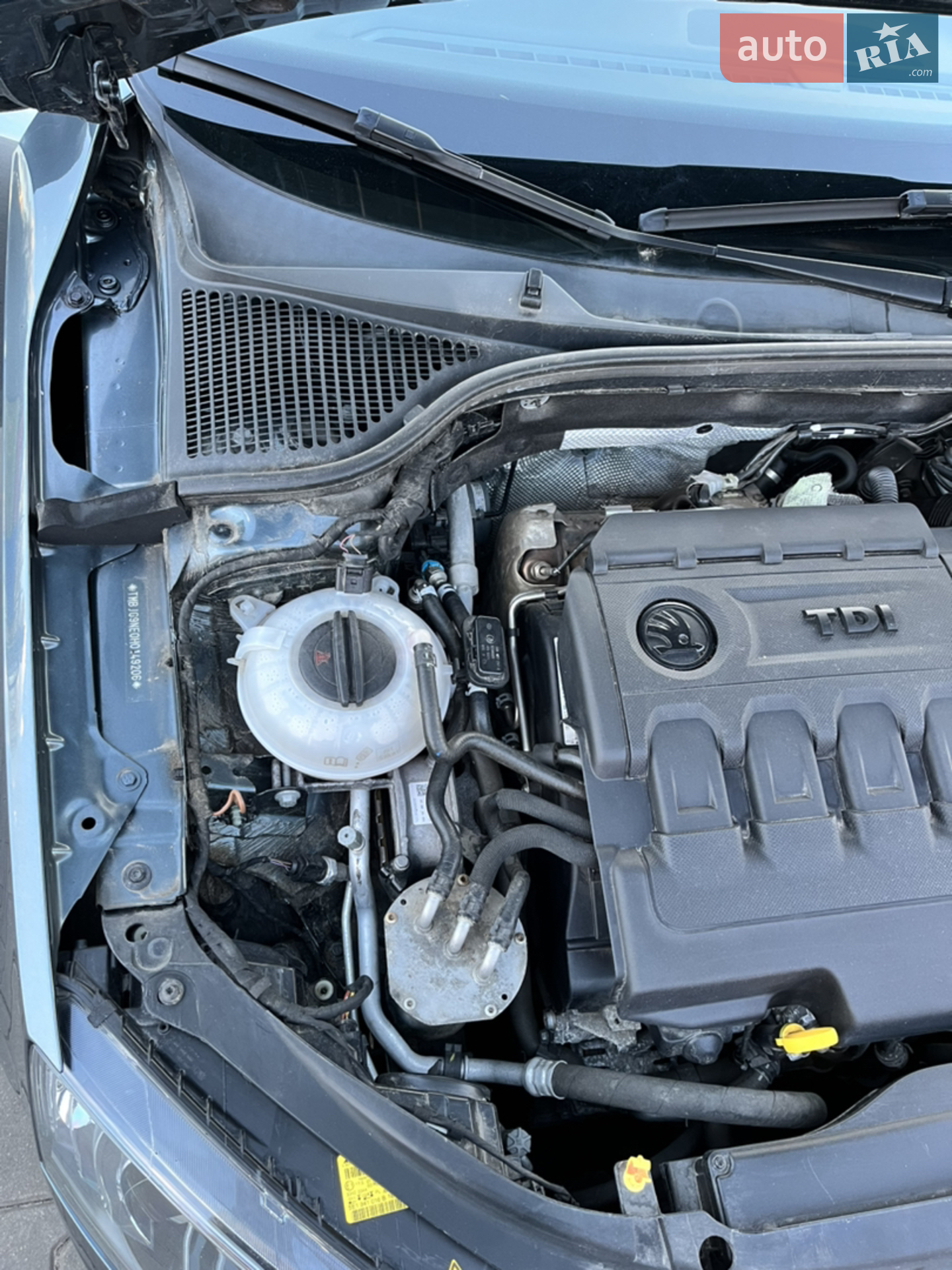 2016 Skoda Octavia - мініатюра 12