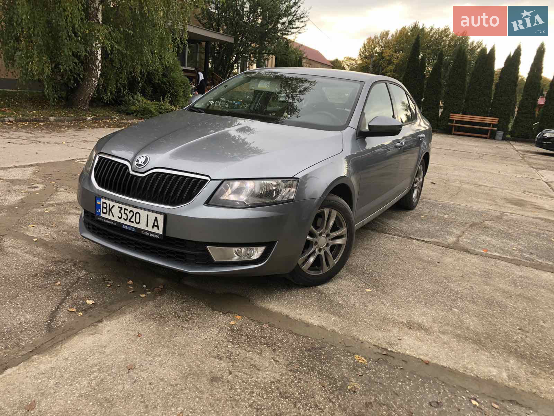 2013 Skoda Octavia - фото 1