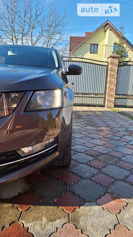Универсал Skoda Octavia 2017 в Ужгороде